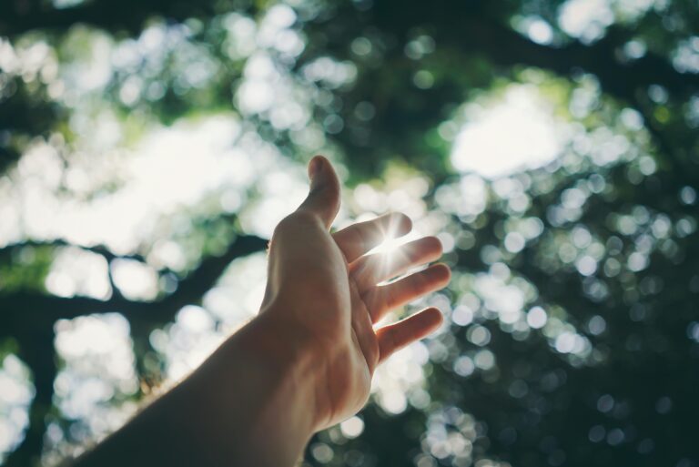 Learning to Live from Rest